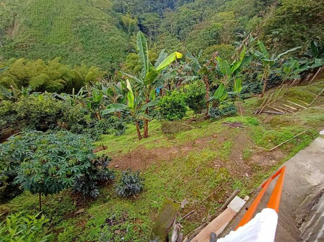 Finca en venta en Santana, Dosquebradas, 13000 m² · foto 3 de 19