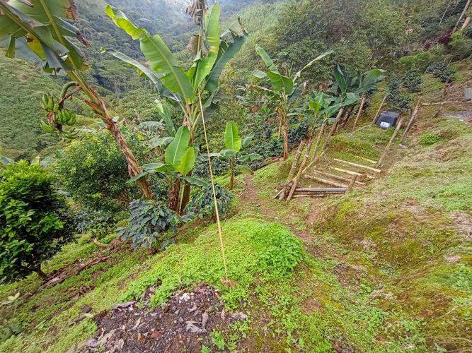 Finca en venta en Santana, Dosquebradas, 13000 m² · foto 9 de 19