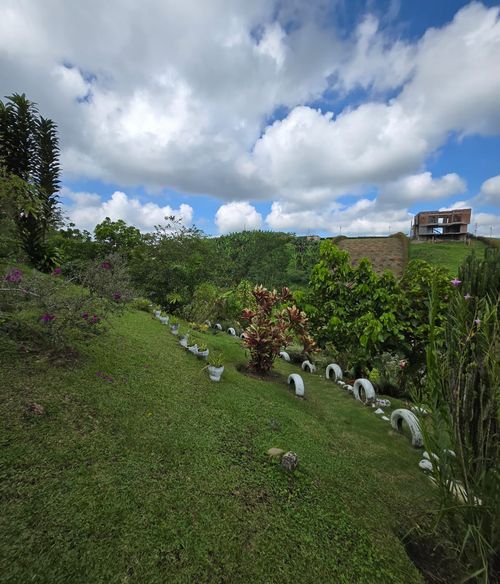 Finca en venta en Morelia, Pereira, 6400 m² · foto 6 de 24
