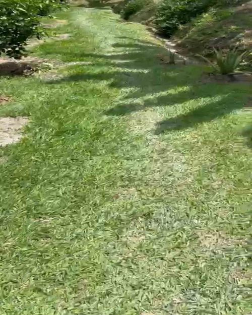 Lote en venta en La Cabaña, Manizales · foto 3 de 13