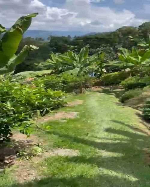 Lote en venta en La Cabaña, Manizales · foto 4 de 13