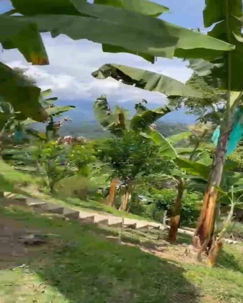 Lote en venta en La Cabaña, Manizales · foto 5 de 13