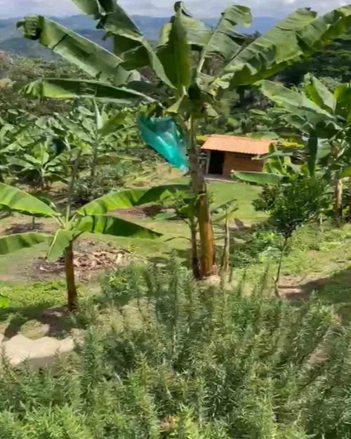 Lote en venta en La Cabaña, Manizales · foto 8 de 13