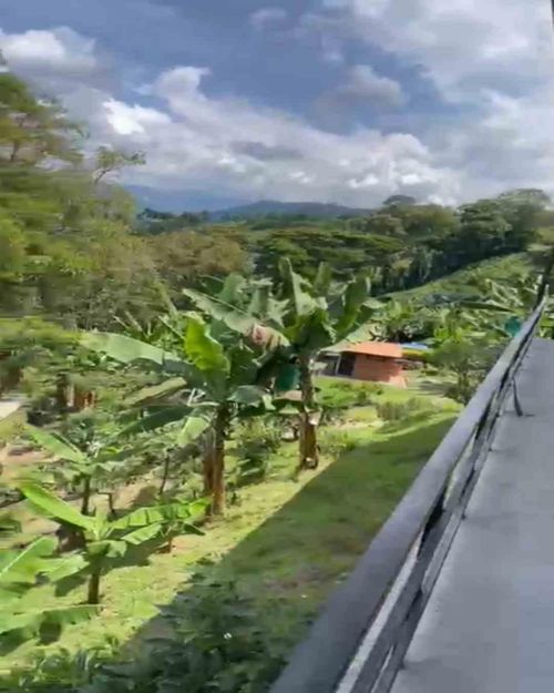 Lote en venta en La Cabaña, Manizales · foto 10 de 13