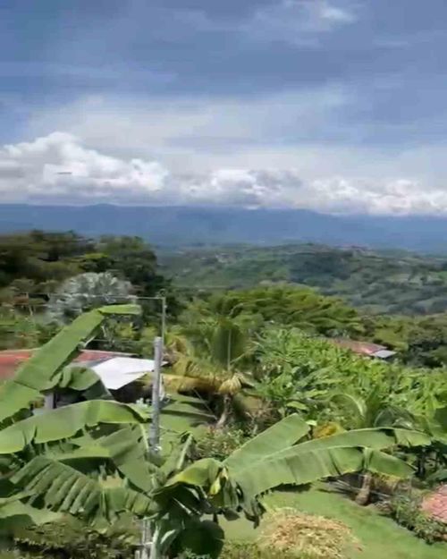 Lote en venta en La Cabaña, Manizales · foto 11 de 13