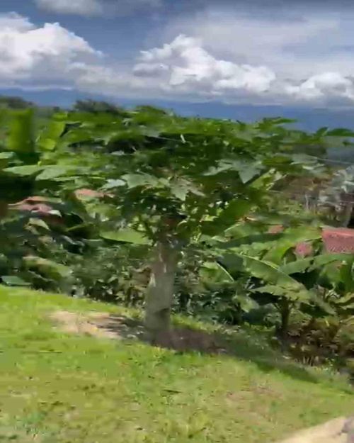 Lote en venta en La Cabaña, Manizales · foto 13 de 13