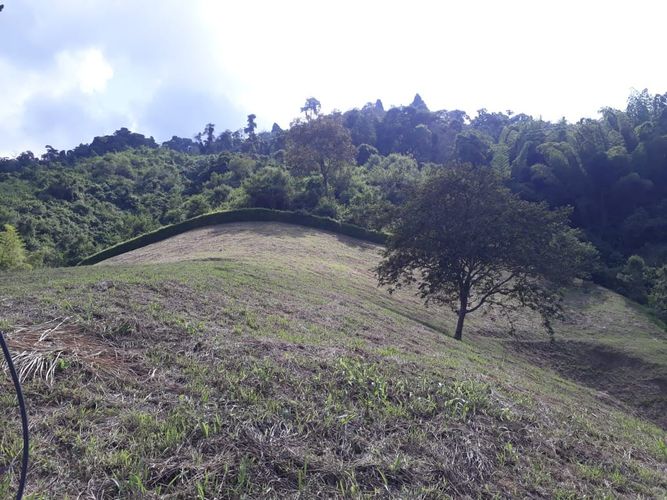 Lote en venta en Alto Del Perro, Manizales, 4200 m² · foto 8 de 24