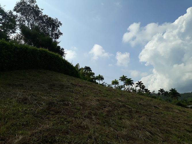 Lote en venta en Alto Del Perro, Manizales, 4200 m² · foto 11 de 24