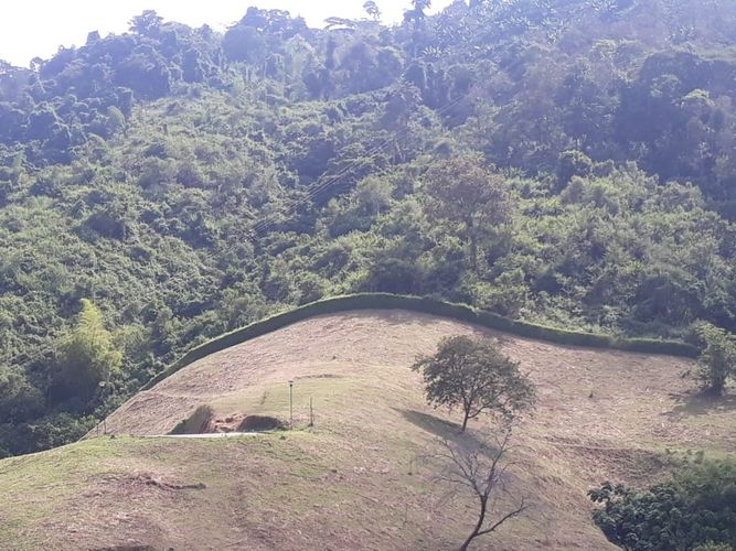 Lote en venta en Alto Del Perro, Manizales, 4200 m² · foto 17 de 24