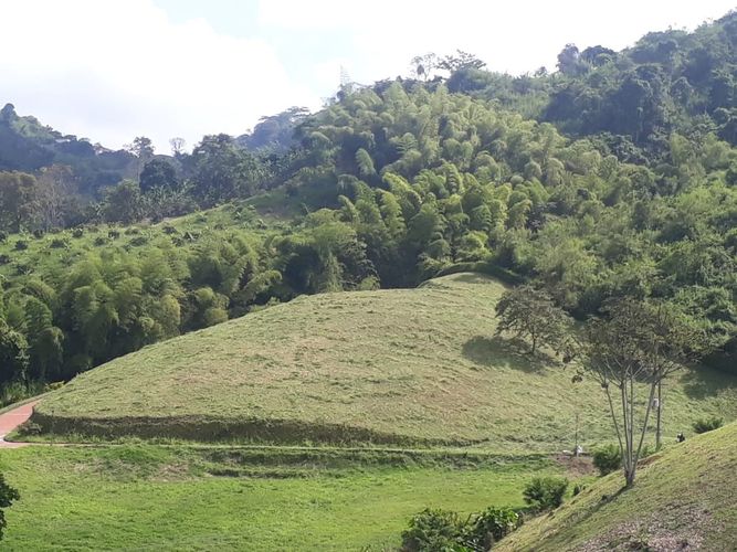 Lote en venta en Alto Del Perro, Manizales, 4200 m² · foto 18 de 24
