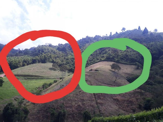 Lote en venta en Alto Del Perro, Manizales, 4200 m² · foto 24 de 24