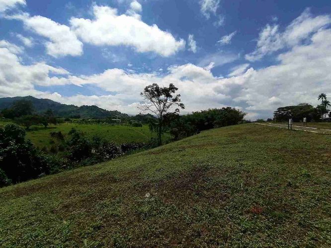 Lote en venta en Combia, Pereira · foto 2 de 17