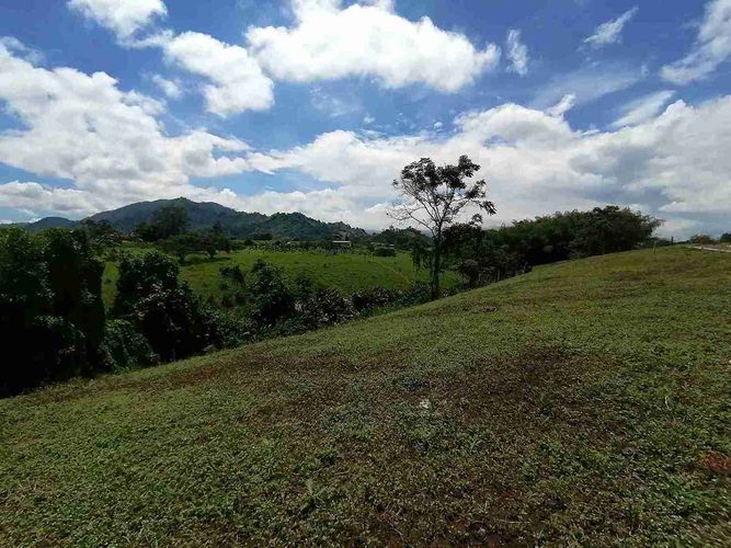 Lote en venta en Combia, Pereira · foto 3 de 17