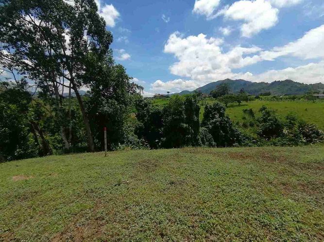 Lote en venta en Combia, Pereira · foto 6 de 17
