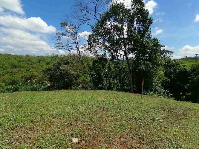 Lote en venta en Combia, Pereira · foto 8 de 17