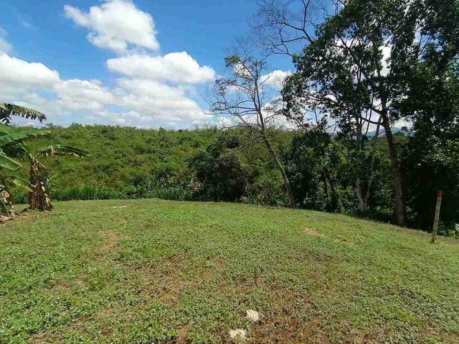 Lote en venta en Combia, Pereira · foto 9 de 17