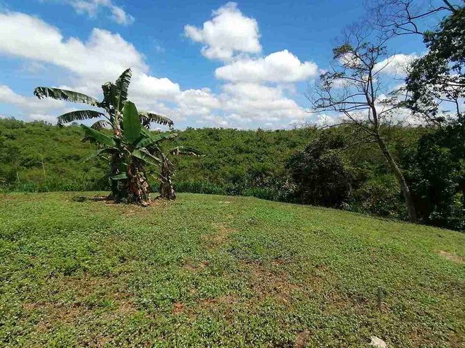 Lote en venta en Combia, Pereira · foto 10 de 17