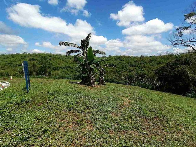 Lote en venta en Combia, Pereira · foto 11 de 17
