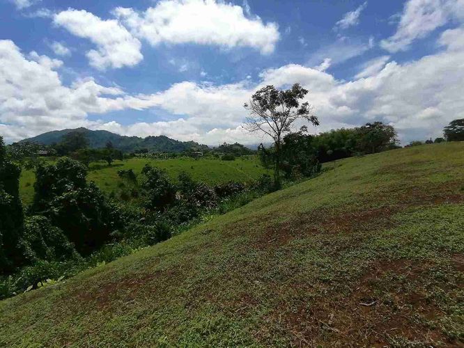 Lote en venta en Combia, Pereira · foto 13 de 17