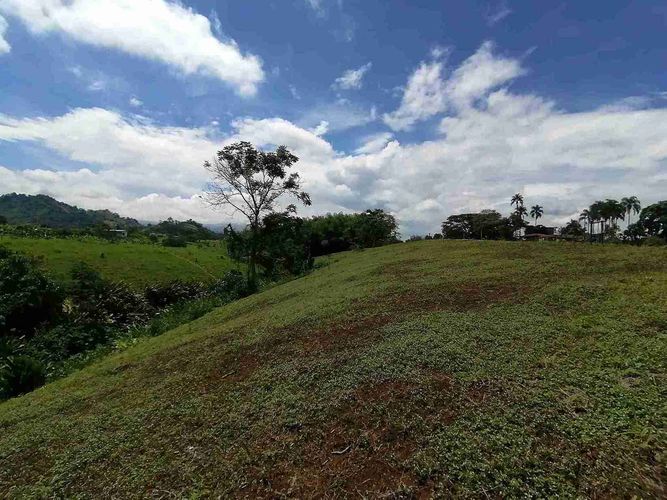 Lote en venta en Combia, Pereira · foto 14 de 17