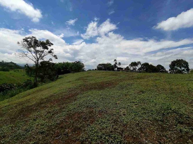 Lote en venta en Combia, Pereira · foto 15 de 17