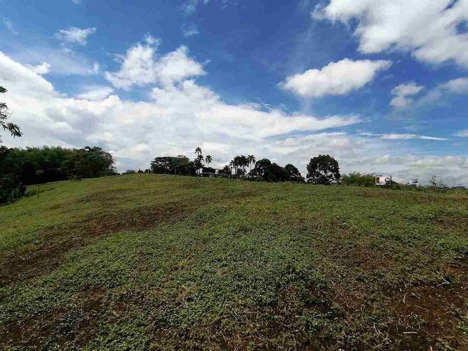 Lote en venta en Combia, Pereira · foto 16 de 17