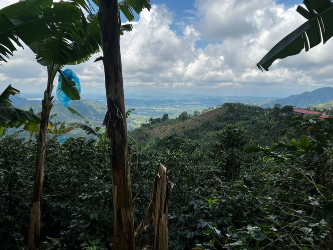 Finca en venta en San Vicente, Pereira, 350 m² · foto 2 de 18