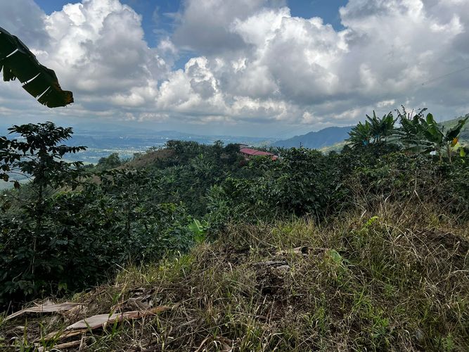Finca en venta en San Vicente, Pereira, 350 m² · foto 3 de 18