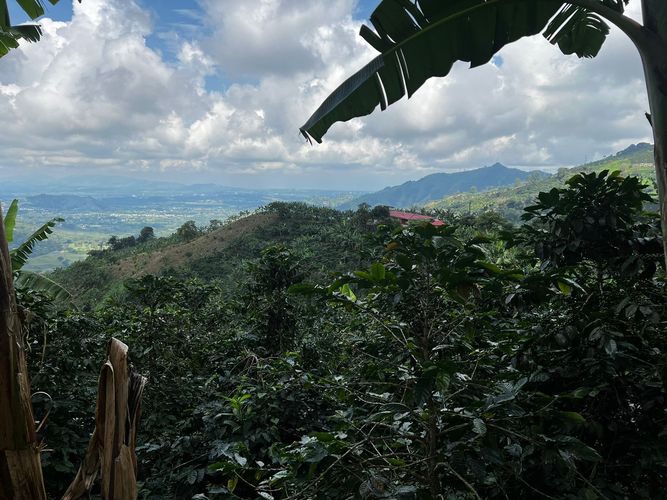 Finca en venta en San Vicente, Pereira, 350 m² · foto 4 de 18