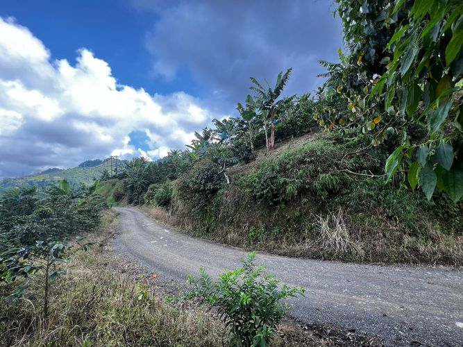 Finca en venta en San Vicente, Pereira, 350 m² · foto 5 de 18