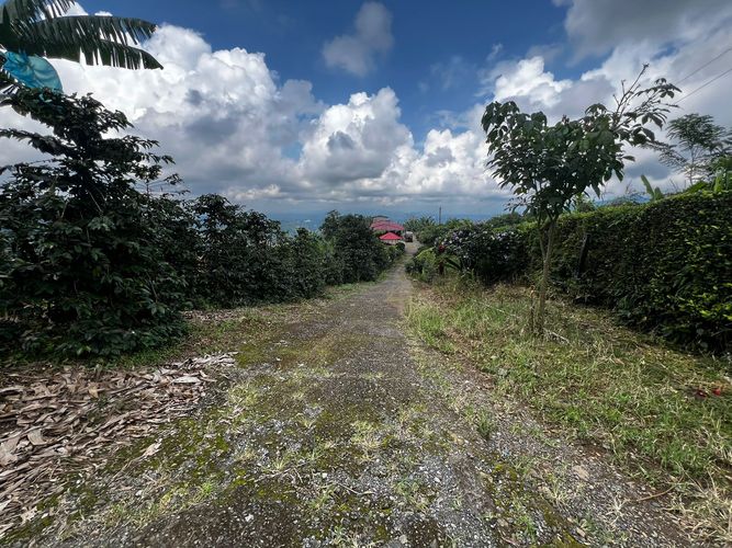 Finca en venta en San Vicente, Pereira, 350 m² · foto 6 de 18