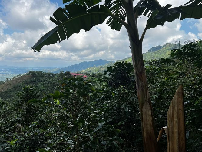 Finca en venta en San Vicente, Pereira, 350 m² · foto 8 de 18