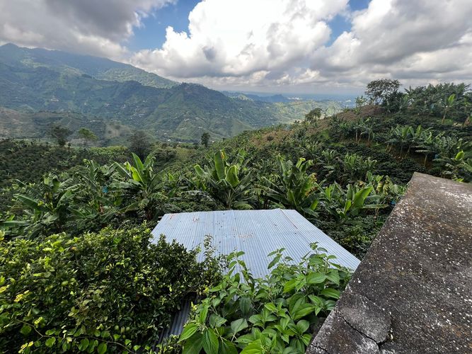 Finca en venta en San Vicente, Pereira, 350 m² · foto 9 de 18