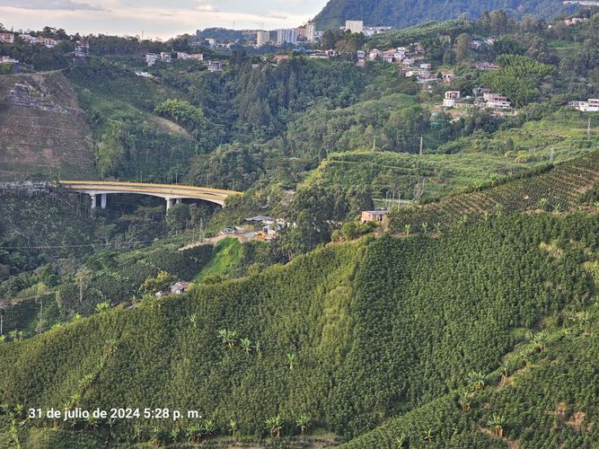 Finca en venta en Alto Tablazo, Manizales, 100 m² · foto 3 de 24