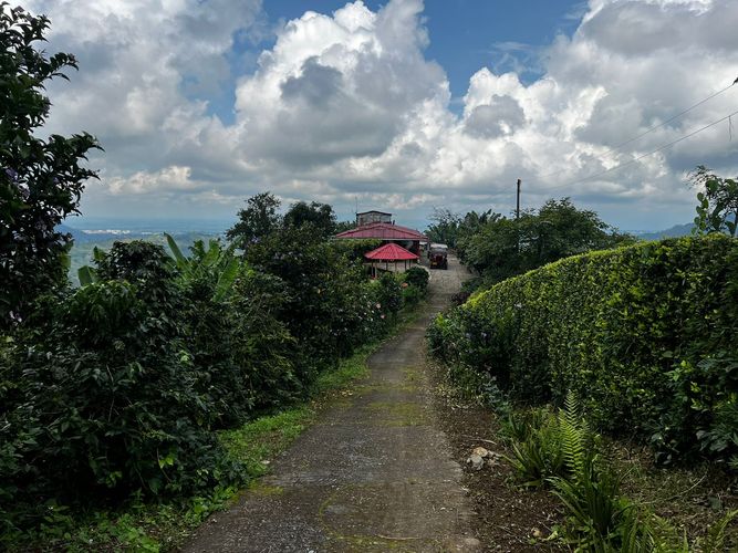 Finca en venta en San Vicente, Pereira, 350 m² · foto 14 de 18