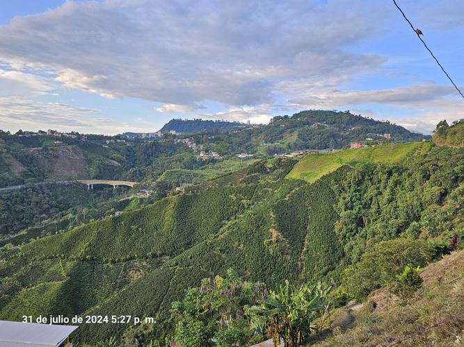 Finca en venta en Alto Tablazo, Manizales, 100 m² · foto 4 de 24