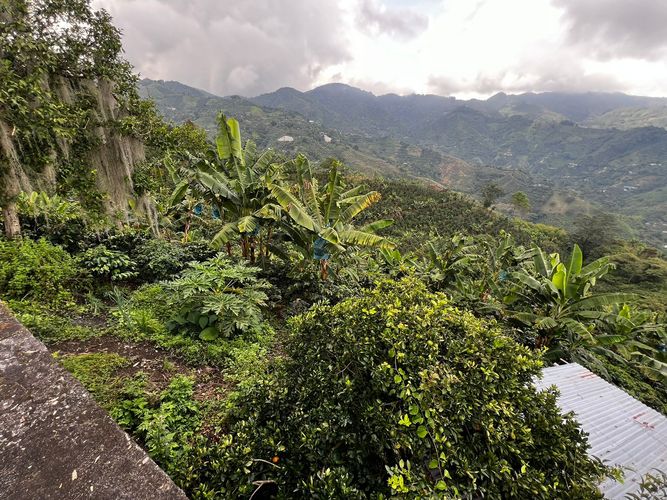 Finca en venta en San Vicente, Pereira, 350 m² · foto 17 de 18