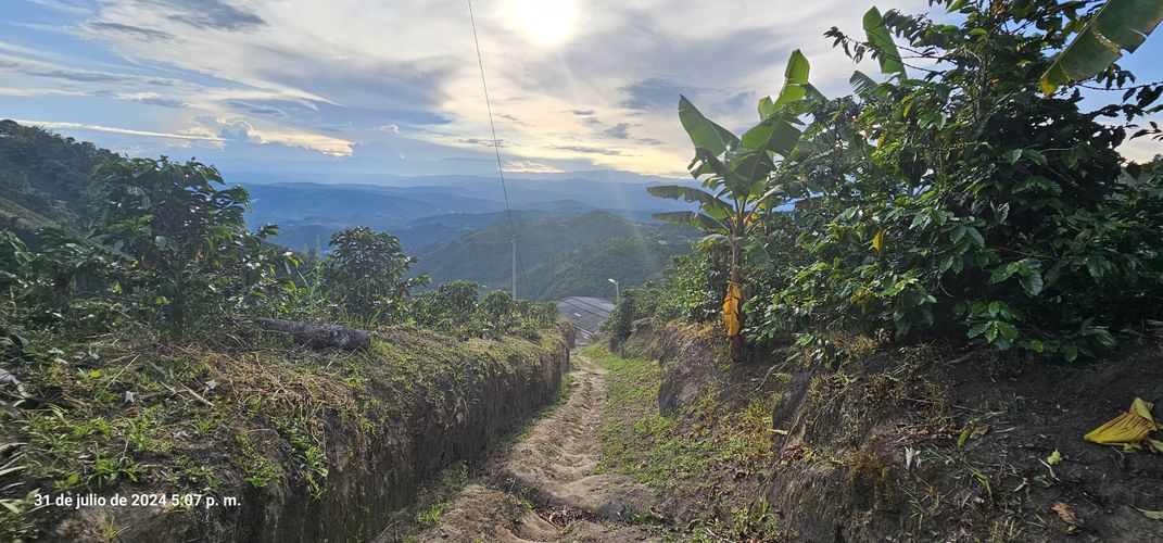 Finca en venta en Alto Tablazo, Manizales, 100 m² · foto 7 de 24