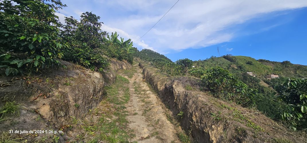 Finca en venta en Alto Tablazo, Manizales, 100 m² · foto 8 de 24