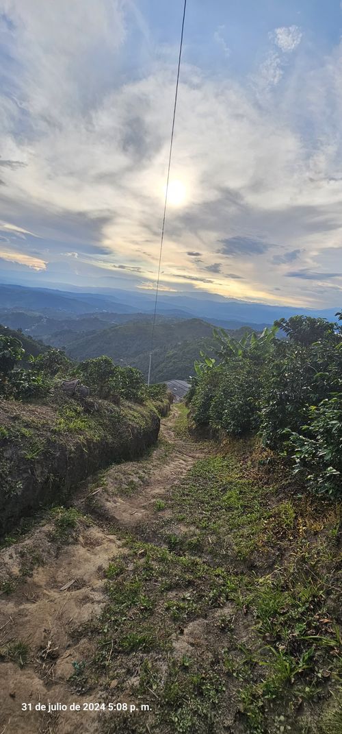 Finca en venta en Alto Tablazo, Manizales, 100 m² · foto 9 de 24