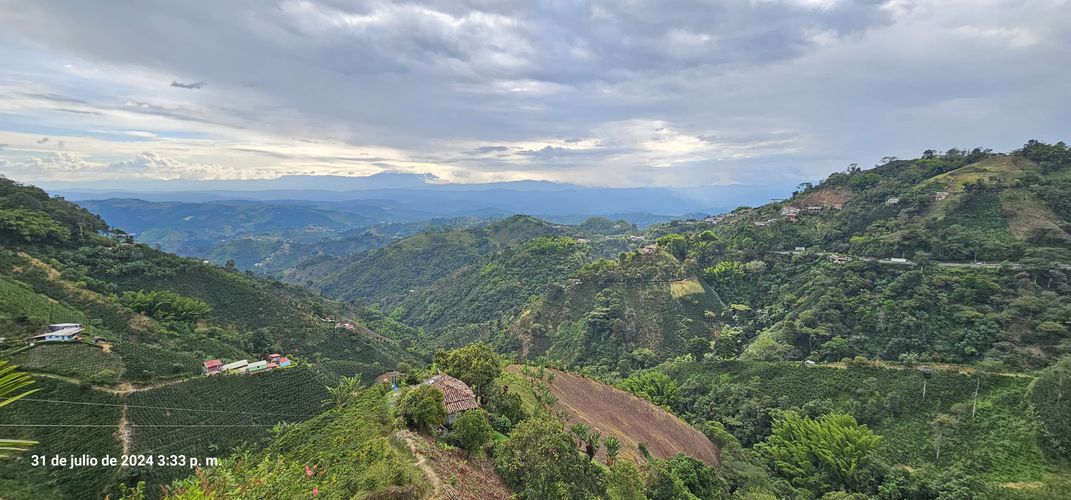 Finca en venta en Alto Tablazo, Manizales, 100 m² · foto 14 de 24
