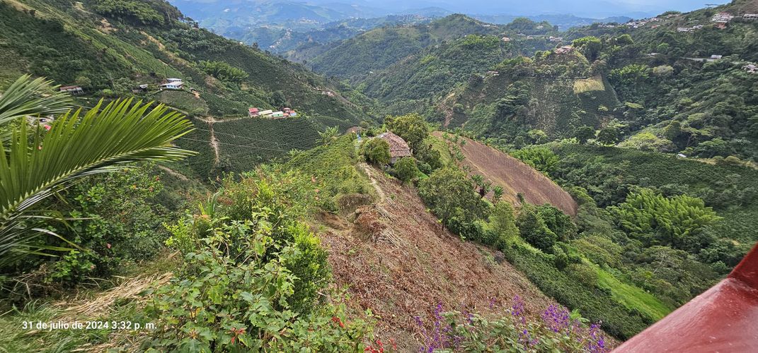 Finca en venta en Alto Tablazo, Manizales, 100 m² · foto 15 de 24