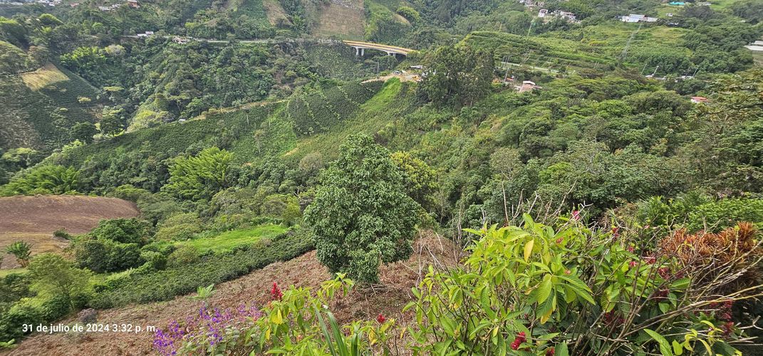 Finca en venta en Alto Tablazo, Manizales, 100 m² · foto 16 de 24