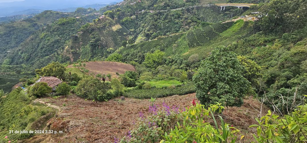 Finca en venta en Alto Tablazo, Manizales, 100 m² · foto 17 de 24