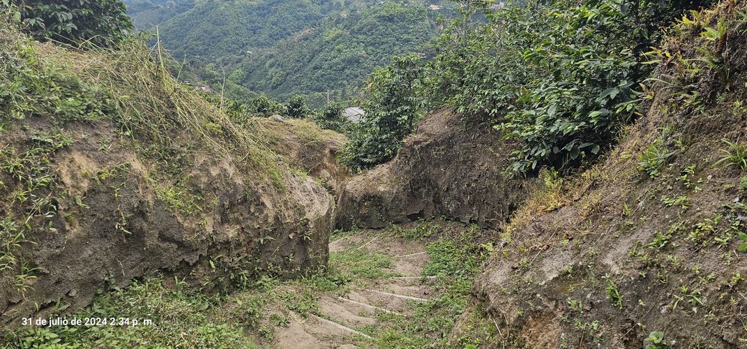 Finca en venta en Alto Tablazo, Manizales, 100 m² · foto 22 de 24