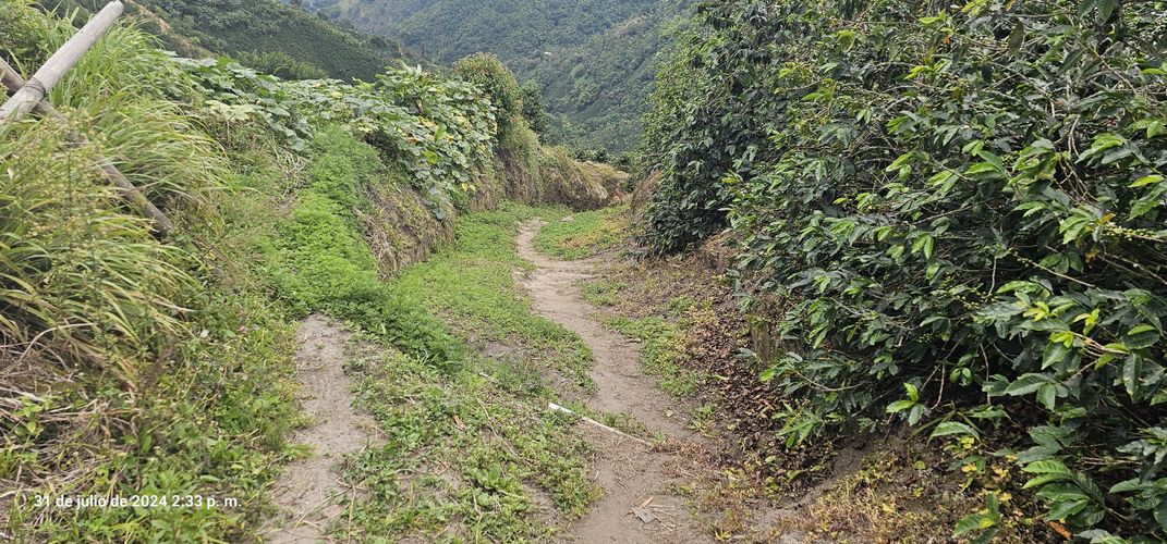 Finca en venta en Alto Tablazo, Manizales, 100 m² · foto 23 de 24