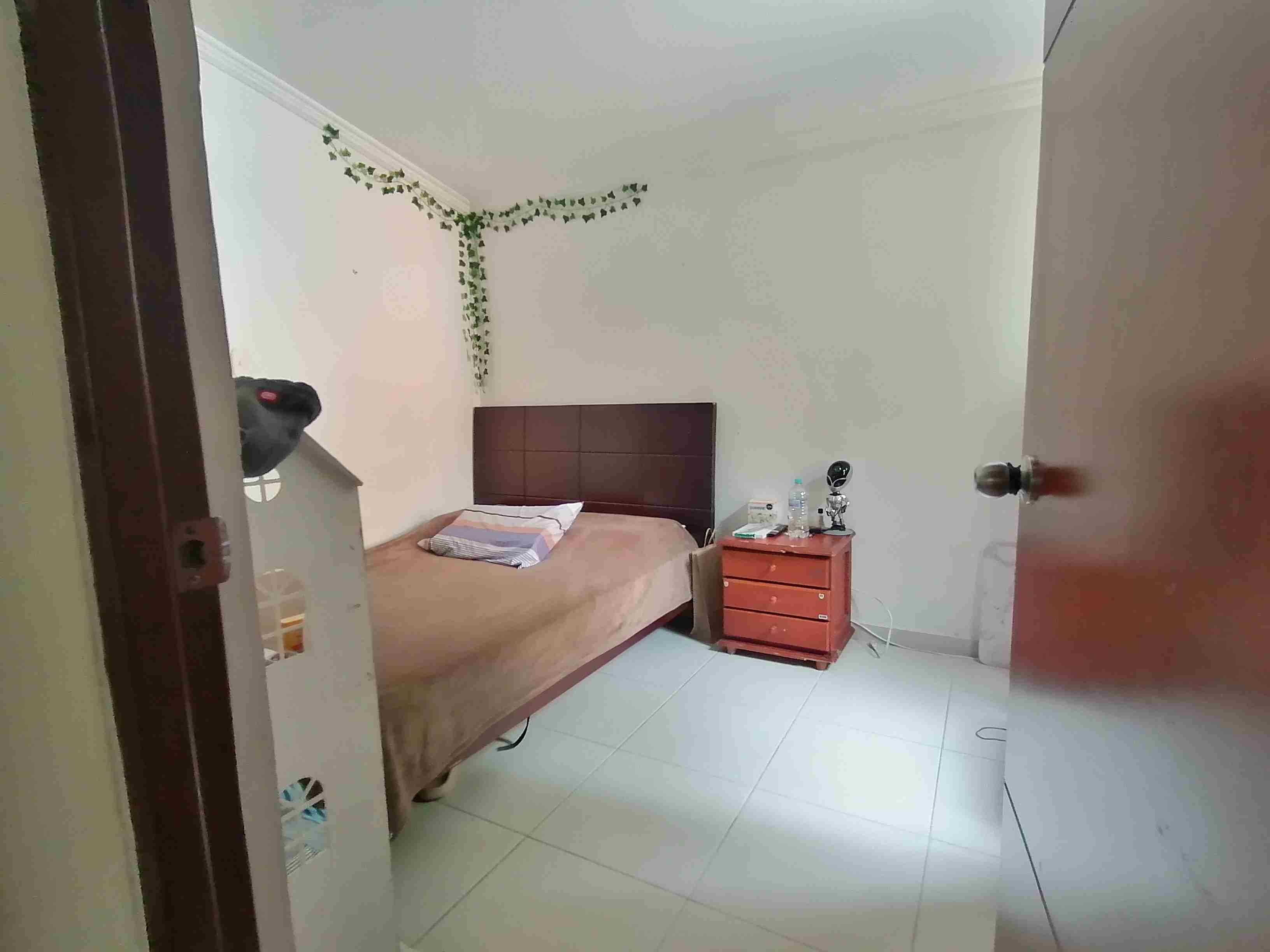 Casa en venta en Multifamiliares Villa Verde, Pereira · foto 17 de 20