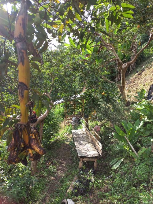 Lote en venta en La Trinidad, Manizales, 68 m² · foto 3 de 10