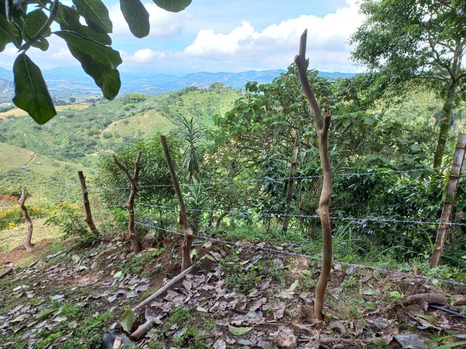 Lote en venta en La Trinidad, Manizales, 68 m² · foto 6 de 10