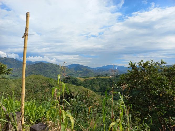 Lote en venta en La Trinidad, Manizales, 68 m² · foto 9 de 10